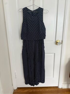 J. Crew Navy and White Polka Dot Dress